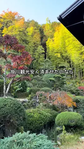 Sample2023のTikTok投稿