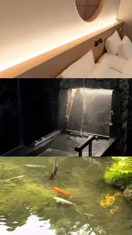 えりたびのTikTok投稿