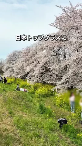 ゆたはる💑🌏🌞|横浜→全国おでかけ365日発信カップルのTikTok投稿