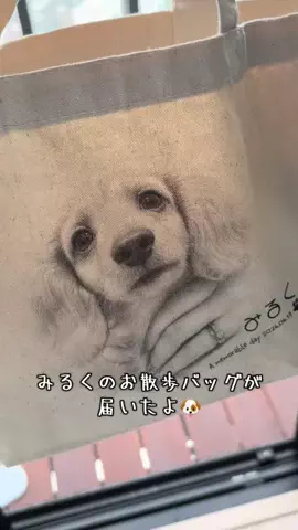 みるく🐶🍼のTikTok投稿