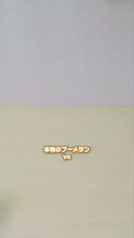 うるこりすのTikTok投稿