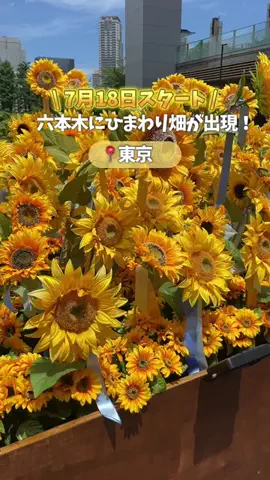 いちこ｜東京発 ⇰ 子連れおでかけのTikTok投稿
