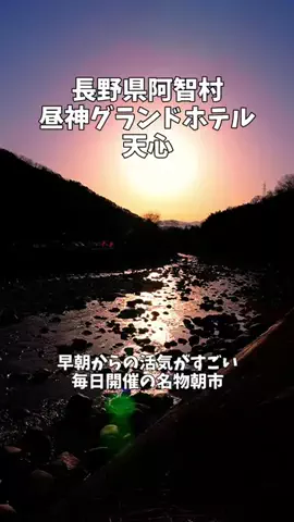ポロ_身近なお出かけスポット紹介のTikTok投稿