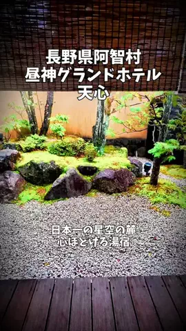 ポロ_身近なお出かけスポット紹介のTikTok投稿