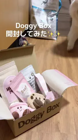 もこみとゆきみのTikTok投稿