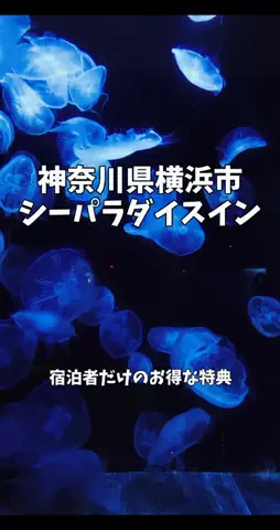 ポロ_身近なお出かけスポット紹介のTikTok投稿