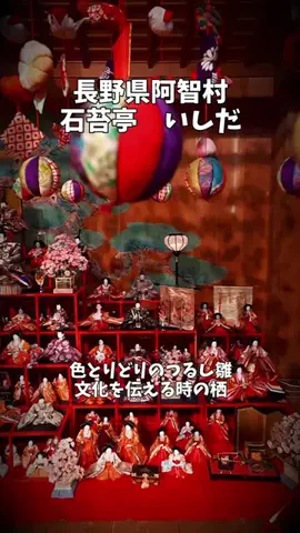 ポロ_身近なお出かけスポット紹介のTikTok投稿