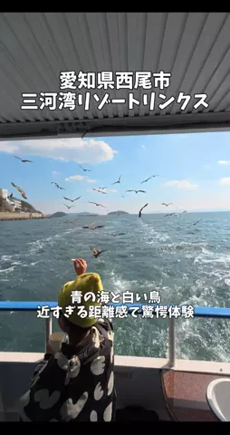 ポロ_身近なお出かけスポット紹介のTikTok投稿