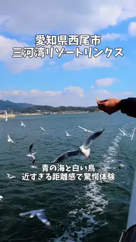 ポロ_身近なお出かけスポット紹介のTikTok投稿