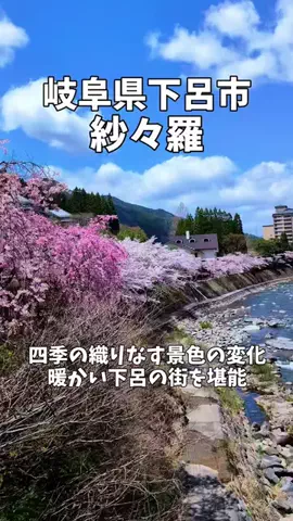 ポロ_身近なお出かけスポット紹介のTikTok投稿