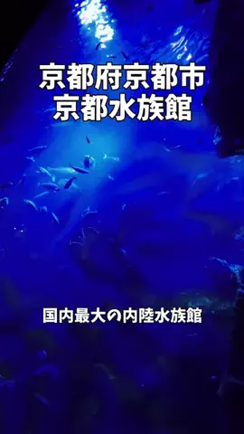 ポロ_身近なお出かけスポット紹介のTikTok投稿