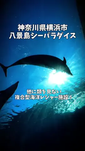 ポロ_身近なお出かけスポット紹介のTikTok投稿