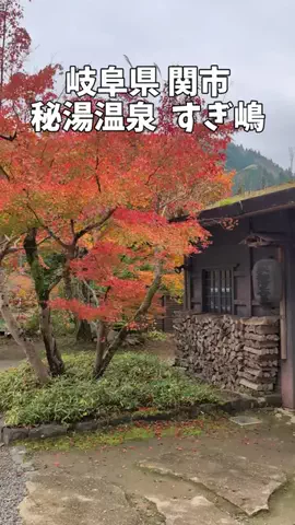 ポロ_身近なお出かけスポット紹介のTikTok投稿