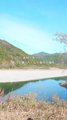 lea旅 ☽ カフェと旅スポットのTikTok投稿