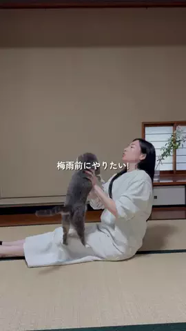 まなの暮らしメモのTikTok投稿