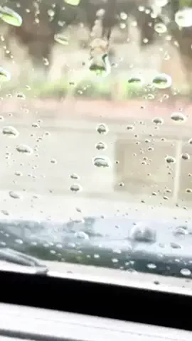 まなの暮らしメモのTikTok投稿