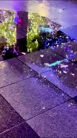 まなの暮らしメモのTikTok投稿