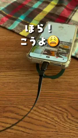 ひろあのTikTok PR投稿：こんなの見つけたよー！ #pr 