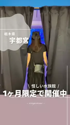 りん￤栃木のグルメとスポット👭のTikTok投稿