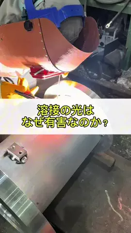 ウェルディング君のTikTok投稿