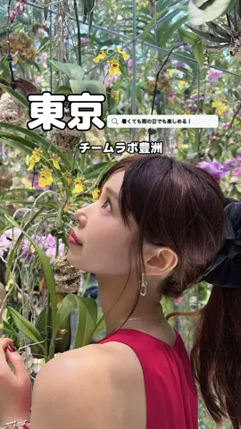 美魔女yuko🧸のTikTok投稿