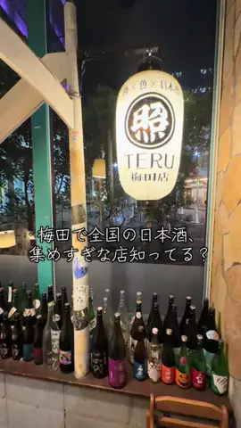 餃子の王将全店制覇への道|関西グルメのTikTok投稿