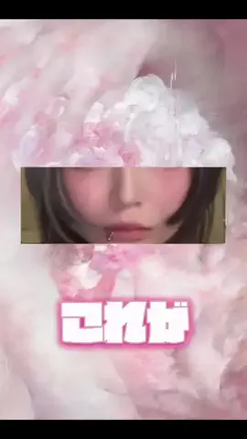 彼ねこのTikTok投稿