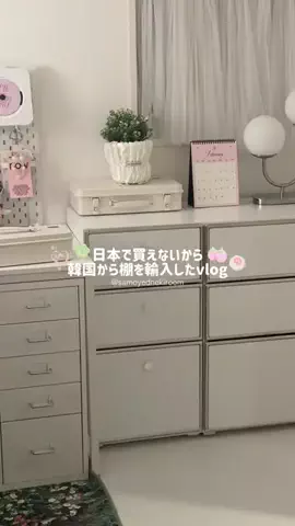 サモエドネキのお部屋のTikTok投稿