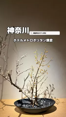 美魔女yuko🧸のTikTok投稿