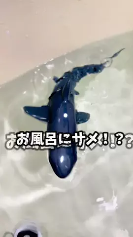 あらかわキッズのTikTok投稿