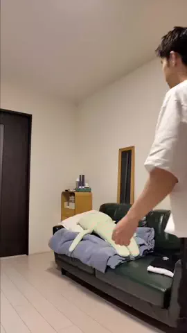 ゆきのTikTok投稿