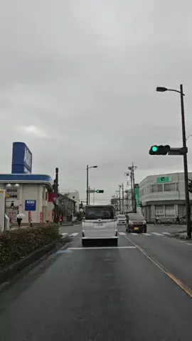 れんめん | パパと子供の埼玉グルメのTikTok投稿