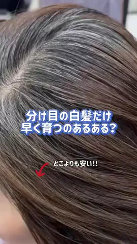 ぽむのTikTok投稿