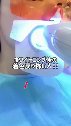 ぽむのTikTok投稿