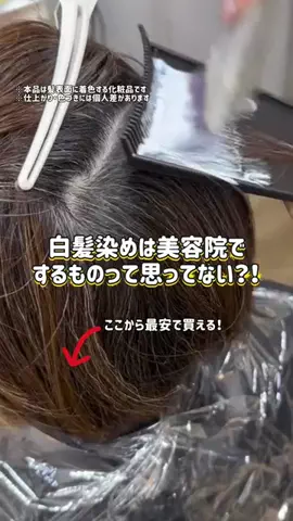 ぽむのTikTok投稿