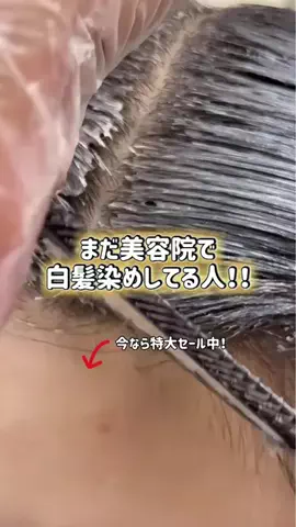 ぽむのTikTok投稿