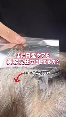 ぽむのTikTok投稿