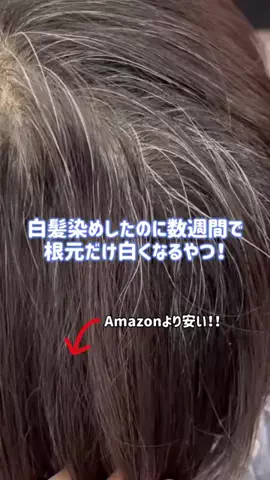 ぽむのTikTok投稿