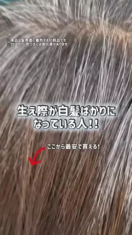 ぽむのTikTok投稿
