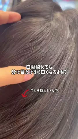 ぽむのTikTok投稿