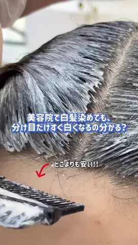 ぽむのTikTok投稿