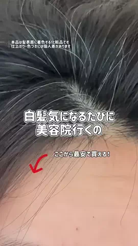ぽむのTikTok投稿
