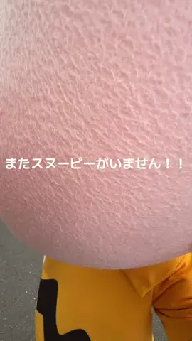 MIKO ✦ キャラクターVlogのTikTok投稿