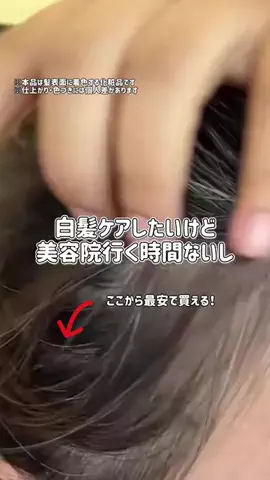 ぽむのTikTok投稿