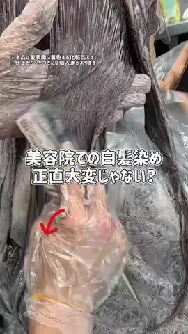 ぽむのTikTok投稿