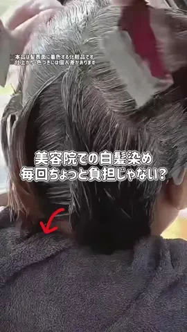 ぽむのTikTok投稿