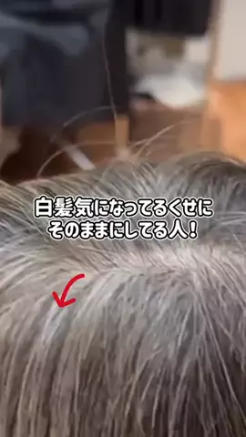 ぽむのTikTok投稿