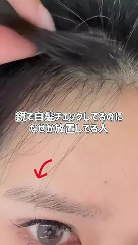 ぽむのTikTok投稿