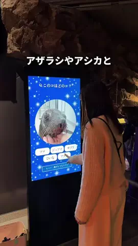 ゆたはる💑🌏🌞|横浜→全国おでかけ365日発信カップルのTikTok投稿
