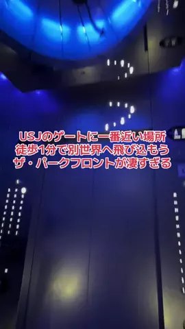 野良猫　イチくんとナナちゃんのTikTok投稿